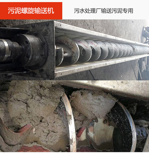 污泥小黄片下载地址水平/倾斜输送，污水厂输送污泥专用设备。