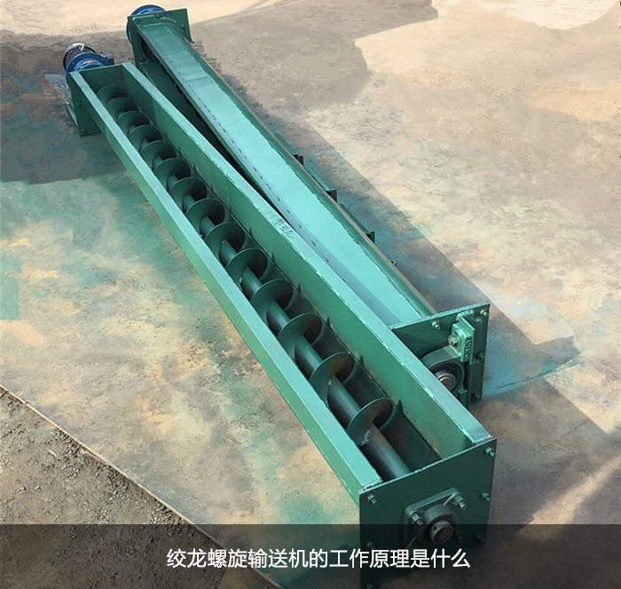蛟龙小黄片下载地址图片